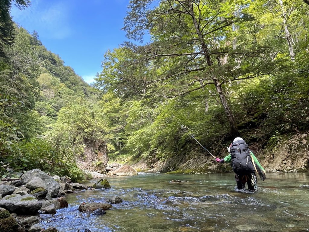 魚野川源流釣行 | 若駒山岳会