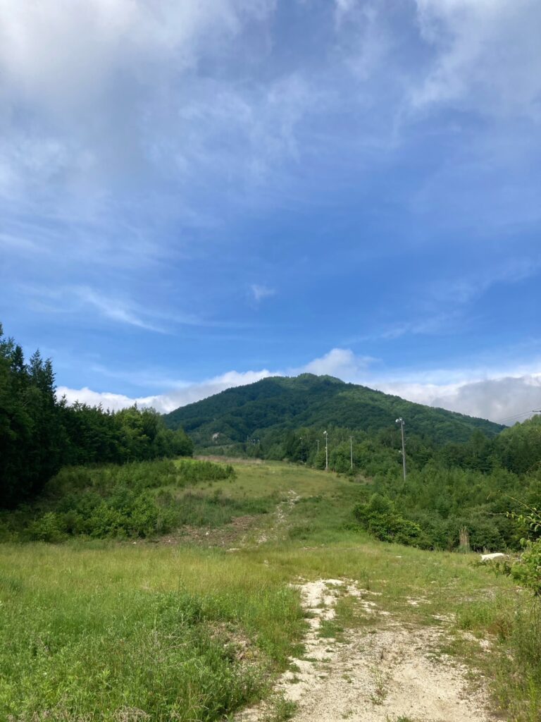 いざ！大川入山 | 若駒山岳会