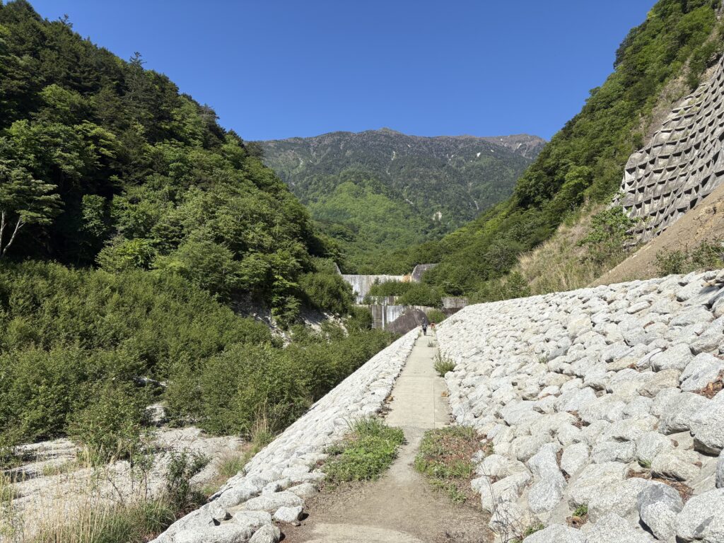 初夏の鳳凰三山 | 若駒山岳会
